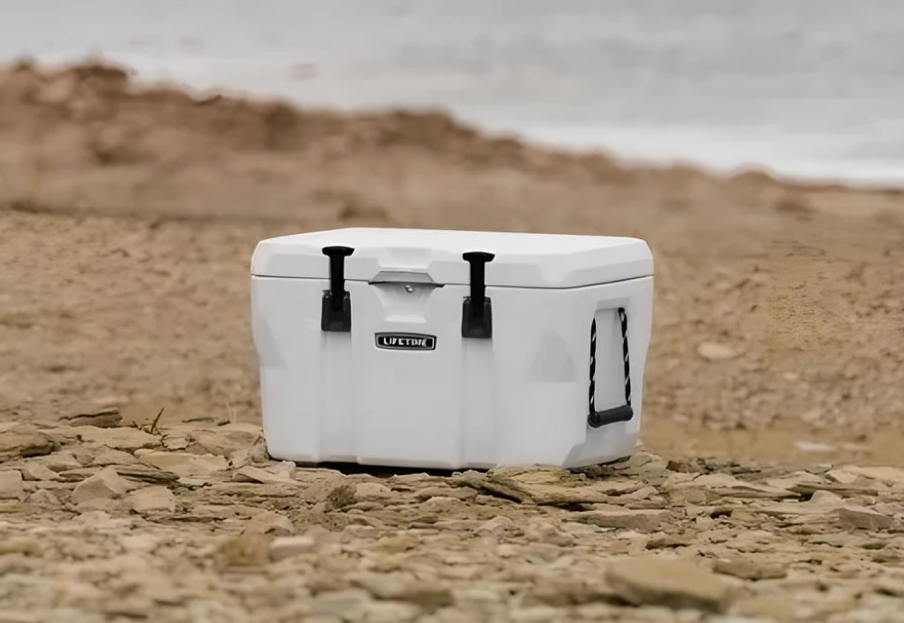 portable outdoor beverage cooler