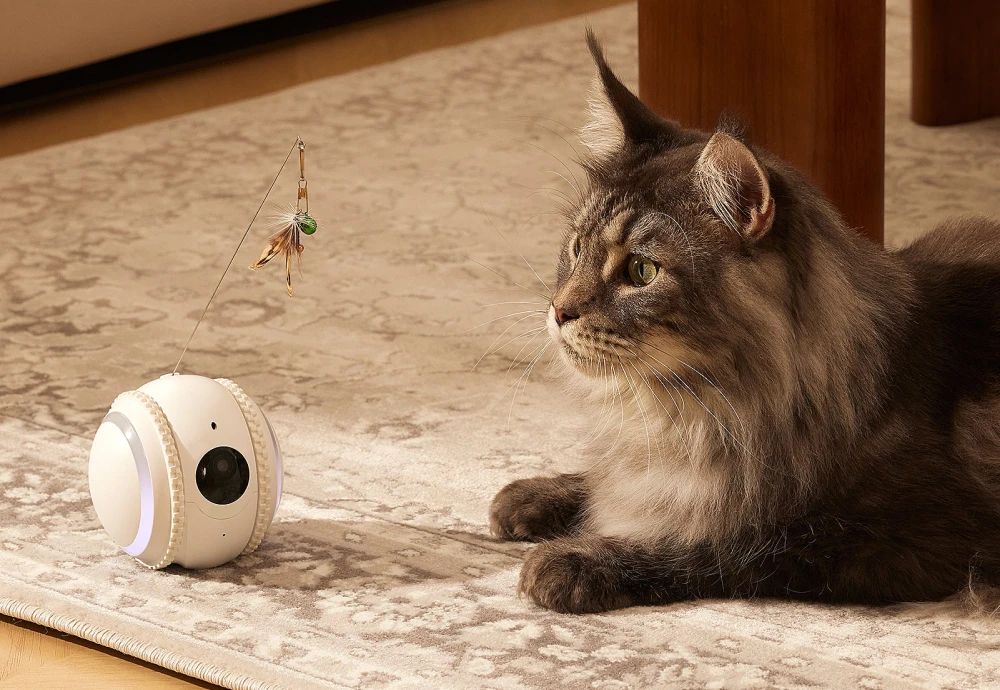 best indoor pet camera