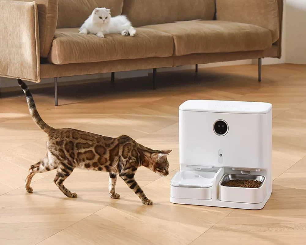 automatic pet feeder and waterer