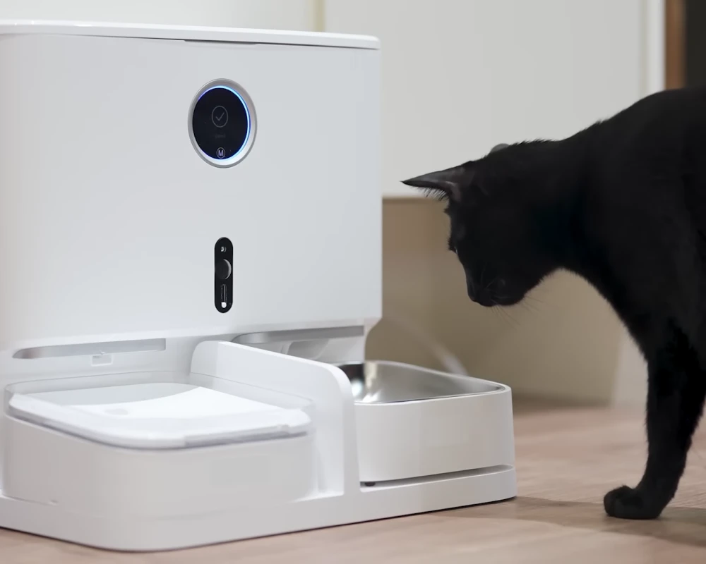 automatic pet feeder and waterer